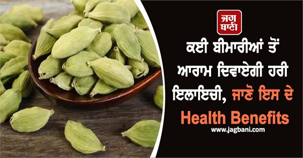 cardamom  health  diseases  indian spices
