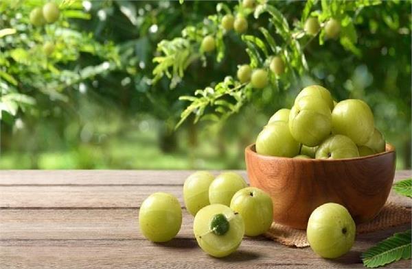 amla  superfood  health  blessing
