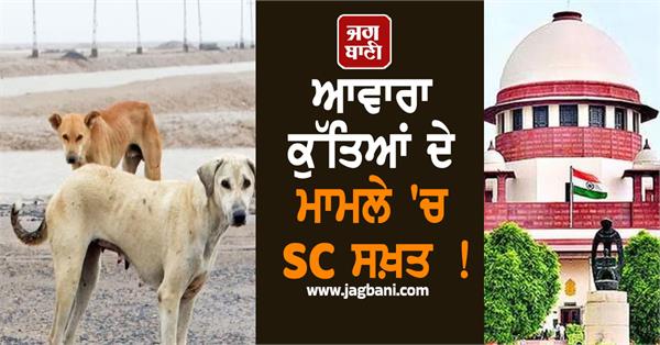 supreme court takes tough on stray dogs