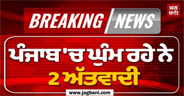 punjab police action