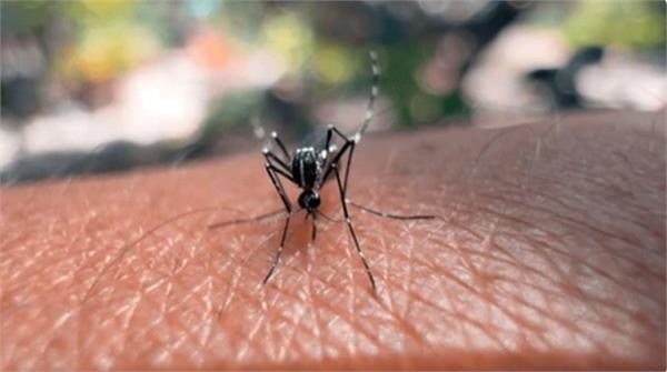2 332 dengue cases reported in manipur this year  one death