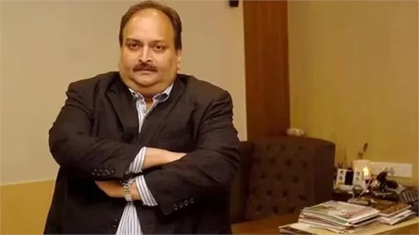 mehul choksi to return india