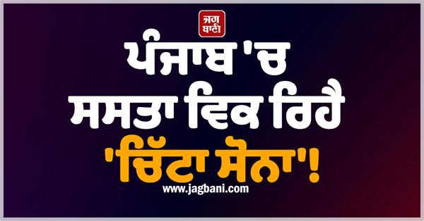 punjab white gold msp