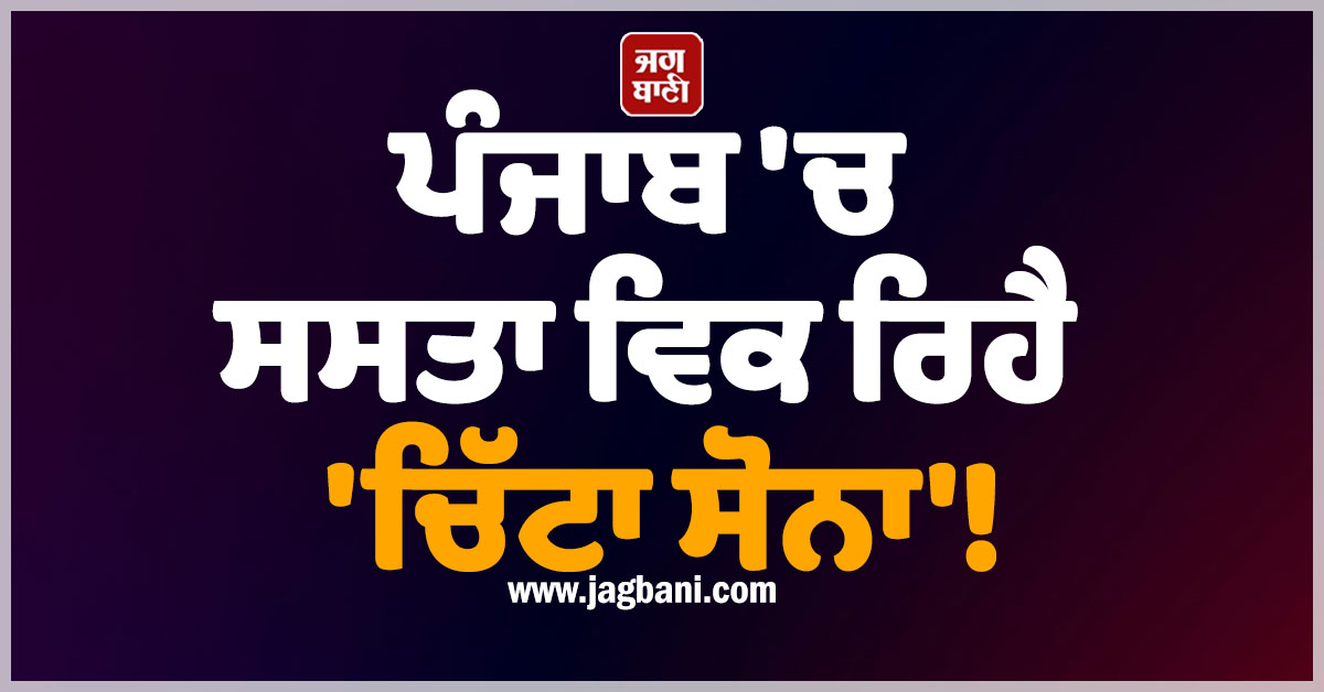 ਪੰਜਾਬ ''ਚ ਸਸਤਾ ਵਿਕ ਰਿਹੈ ''ਚਿੱਟਾ ਸੋਨਾ''! ਨਹੀਂ ਮਿੱਲ ਰਿਹਾ ਪੂਰਾ ਮੁੱਲ