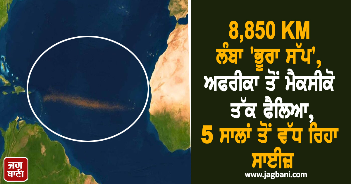 8,850 KM ਲੰਬਾ ''ਭੂਰਾ ਸੱਪ'', ਸਪੇਸ ਤੋਂ ਦਿਖਿਆ ਭਿਆਨਕ ਨਜ਼ਾਰਾ, ਧਰਤੀ ਲਈ ਵੱਡਾ ਖ਼ਤਰਾ