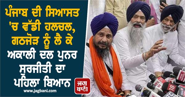 politics punjab alliance