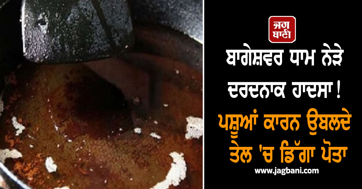 ਬਾਗੇਸ਼ਵਰ ਧਾਮ ਨੇੜੇ ਦਰਦਨਾਕ ਹਾਦਸਾ! ਪਸ਼ੂਆਂ ਕਾਰਨ ਉਬਲਦੇ ਤੇਲ ''ਚ ਡਿੱਗਾ ਪੋਤਾ, ਬਚਾਉਣ ਗਈ ਦਾਦੀ ਵੀ ਝੁਲਸੀ