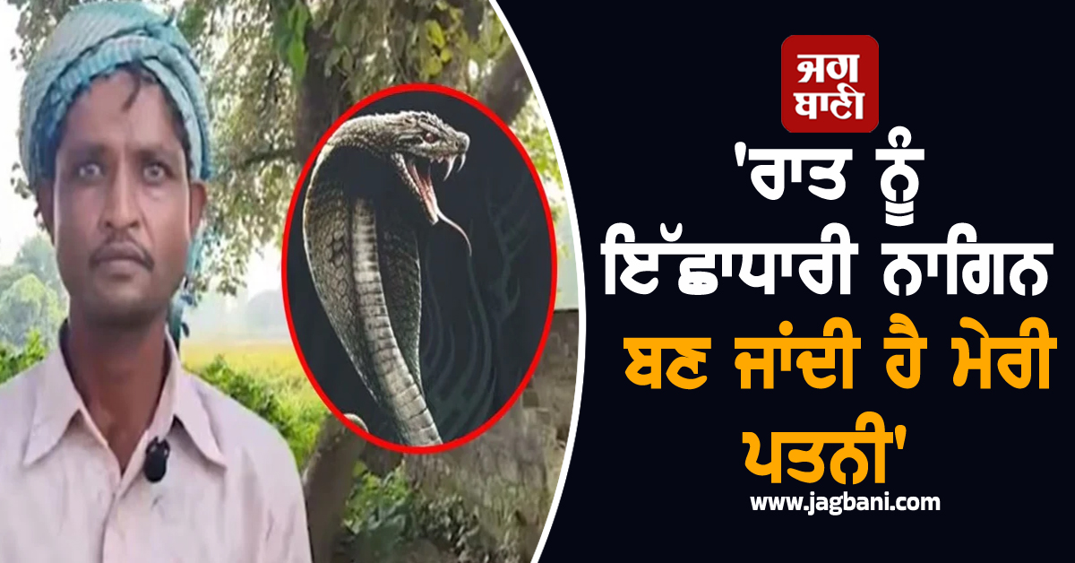 'ਰਾਤ ਨੂੰ ਇੱਛਾਧਾਰੀ ਨਾਗਿਨ ਬਣ ਜਾਂਦੀ ਹੈ ਮੇਰੀ ਪਤਨੀ,' ਡੀ.ਐੱਮ. ਸਾਹਮਣੇ ਗੁਹਾਰ ਲੈ ਕੇ ਪਹੁੰਚਿਆ ਪਤੀ