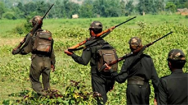 61 naxalites surrender in gadchiroli  maharashtra