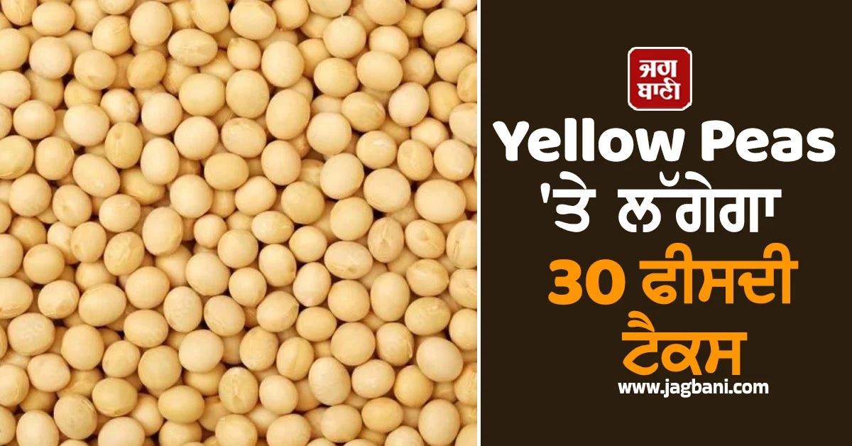 ਮਹਿੰਗਾ ਪਏਗਾ ਮੂੰਹ ਦਾ ਸਵਾਦ! ਭਲਕੇ ਤੋਂ Yellow Peas 'ਤੇ ਲੱਗੇਗਾ 30 ਫੀਸਦੀ ਟੈਕਸ