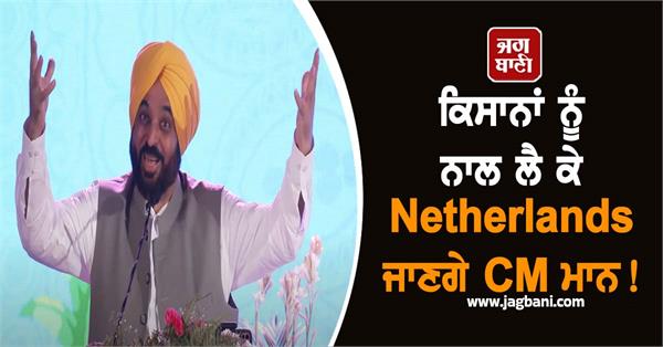 cm mann netherlands