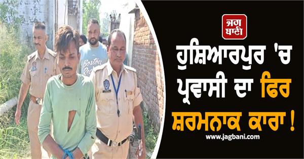 another shameful act of a migrant in hoshiarpur
