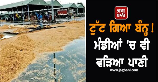 punjab weather update