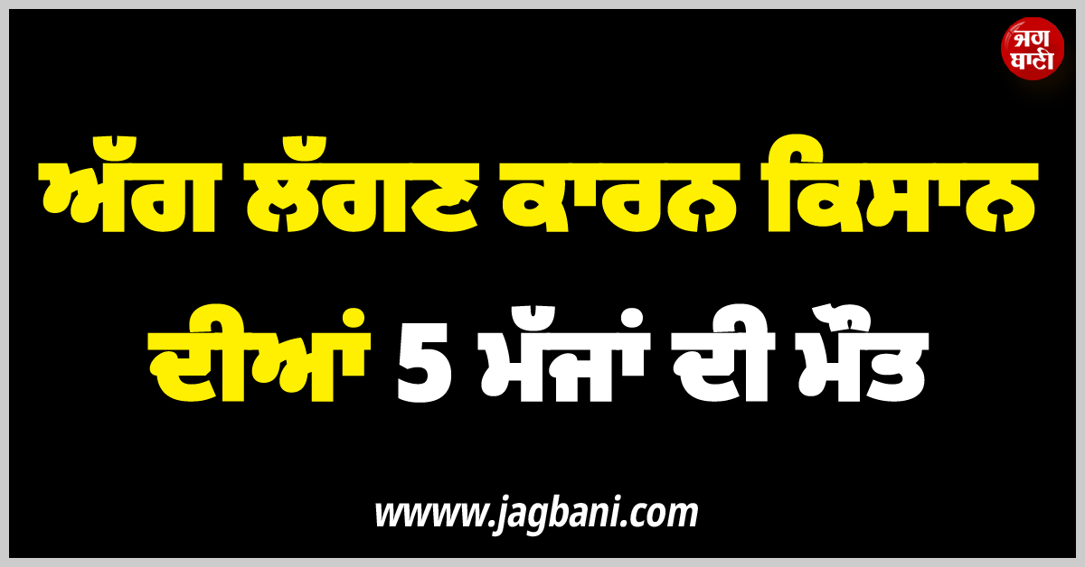 ਪਿੰਡ ਚੁੰਨੀ ਮਾਜਰਾ ਵਿਖੇ ਅੱਗ ਲੱਗਣ ਕਾਰਨ ਕਿਸਾਨ ਦੀਆਂ 5 ਮੱਜਾਂ ਦੀ ਮੌਤ