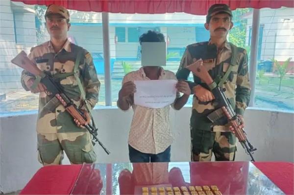 bsf catches smuggler with 2 82 crore gold biscuits