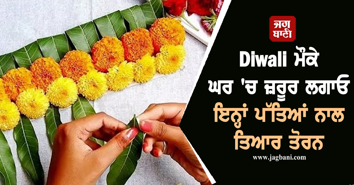 Diwali ਮੌਕੇ ਘਰ 'ਚ ਜ਼ਰੂਰ ਲਗਾਓ ਇਨ੍ਹਾਂ ਪੱਤਿਆਂ ਨਾਲ ਤਿਆਰ ਤੋਰਨ, ਨਹੀਂ ਲੱਗੇਗੀ ਬੁਰੀ ਨਜ਼ਰ