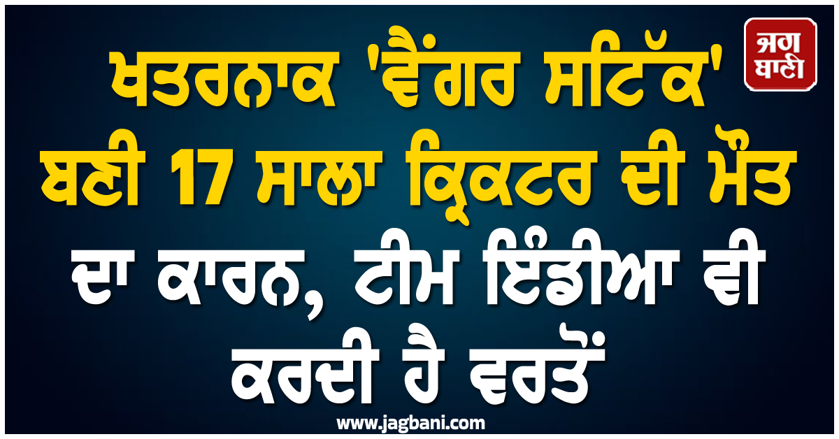 ਖਤਰਨਾਕ 'ਵੈਂਗਰ ਸਟਿੱਕ' ਬਣੀ 17 ਸਾਲਾ ਕ੍ਰਿਕਟਰ ਦੀ ਮੌਤ ਦਾ ਕਾਰਨ, ਟੀਮ ਇੰਡੀਆ ਵੀ ਕਰਦੀ ਹੈ ਵਰਤੋਂ