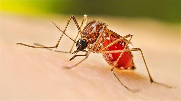 jammu and kashmir s health department is in a fix