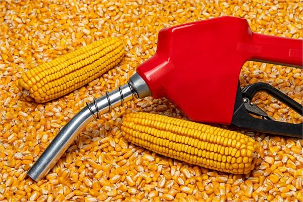 corn should become india  s new crude oil