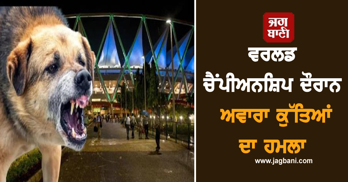 ਵਰਲਡ ਚੈਂਪੀਅਨਸ਼ਿਪ ਦੌਰਾਨ ਅਵਾਰਾ ਕੁੱਤਿਆਂ ਦਾ ਹਮਲਾ, JLN ਸਟੇਡੀਅਮ 'ਚ 2 ਕੋਚਾਂ ਨੂੰ ਵੱਢ ਕੇ ਕੀਤਾ ਲਹੂਲੁਹਾਨ
