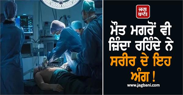 organs remain alive even after death