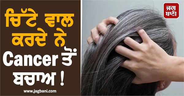 grey hair bodys against cancer