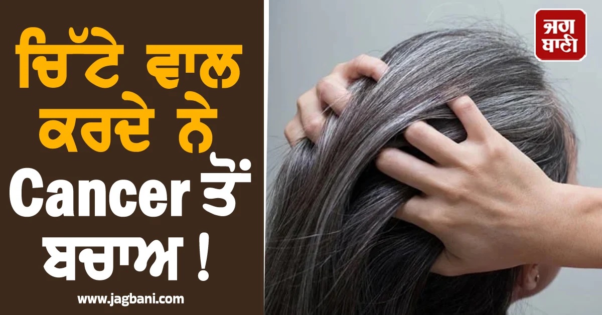 ਚਿੱਟੇ ਵਾਲ ਕਰਦੇ ਨੇ Cancer ਤੋਂ ਬਚਾਅ! ਜਾਪਾਨੀ ਵਿਗਿਆਨੀਆਂ ਨੇ ਦੱਸਿਆ ਕਾਰਨ