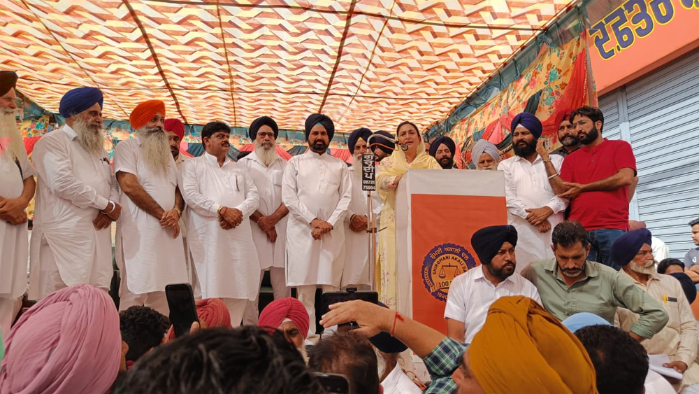 ਸ਼੍ਰੋਮਣੀ ਅਕਾਲੀ ਦਲ ਬੁਢਲਾਡਾ ''ਚ ਖੋਲ੍ਹਿਆ ਦਫਤਰ, ਸੁਣੀਆਂ ਜਾਣਗੀਆਂ ਮੁਸ਼ਕਿਲਾਂ : ਹਰਸਿਮਰਤ ਬਾਦਲ