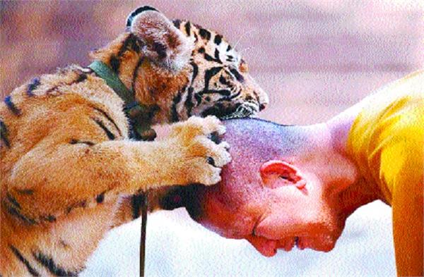 the two carriers of creation  humans and animals