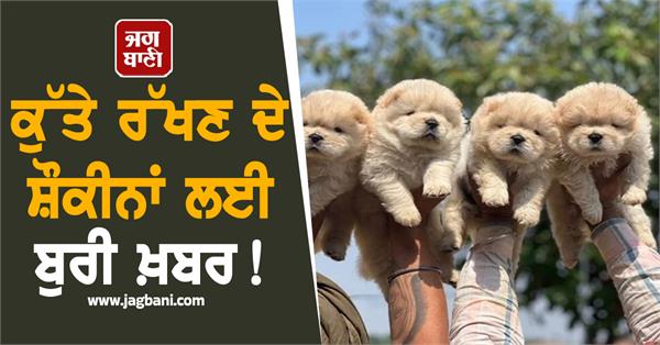 bad news for dog lovers