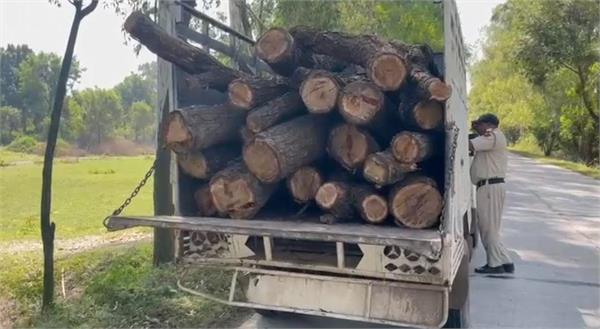 attempt to steal khair wood in wildlife sanctuary