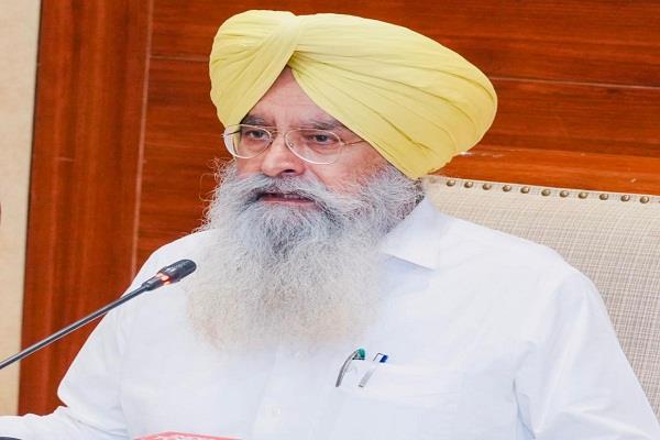 punjab mandi board establishes control room for smooth procurement of paddy