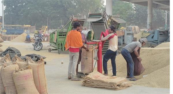 28 thousand metric tonnes of paddy procured in kapurthala district