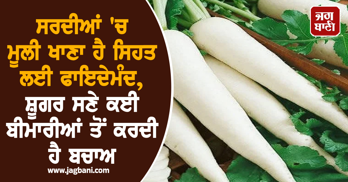 ਸਰਦੀਆਂ 'ਚ ਮੂਲੀ ਖਾਣਾ ਹੈ ਸਿਹਤ ਲਈ ਫਾਇਦੇਮੰਦ: ਸ਼ੂਗਰ ਸਣੇ ਕਈ ਬੀਮਾਰੀਆਂ ਤੋਂ ਕਰਦੀ ਹੈ ਬਚਾਅ