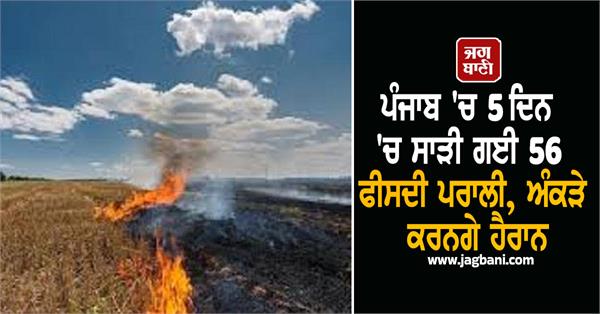 56 percent stubble burned in 5 days in punjab