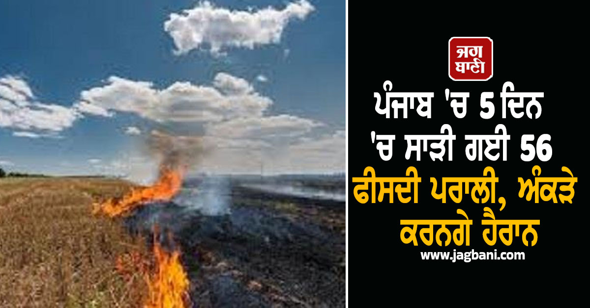 ਪੰਜਾਬ 'ਚ 5 ਦਿਨ 'ਚ ਸਾੜੀ ਗਈ 56 ਫੀਸਦੀ ਪਰਾਲੀ, ਅੰਕੜੇ ਕਰਨਗੇ ਹੈਰਾਨ