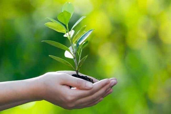 environment  millennials  gen g  youth