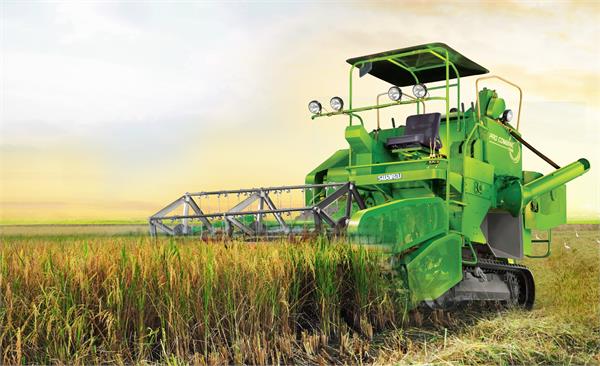 paddy harvesting time fixed