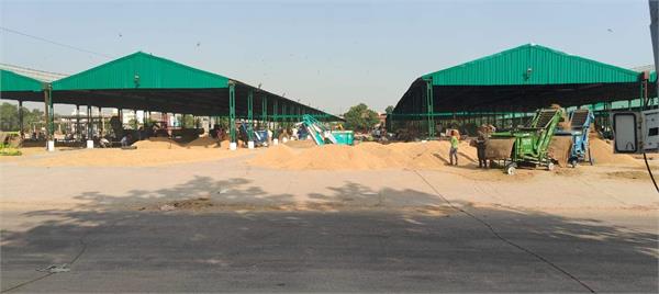 barnala mandi report