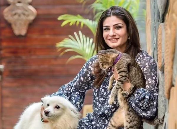 raveena tandon lashed out at air india for treating pet