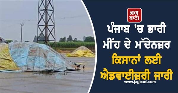 advisory issued for farmers in view of heavy rain in punjab