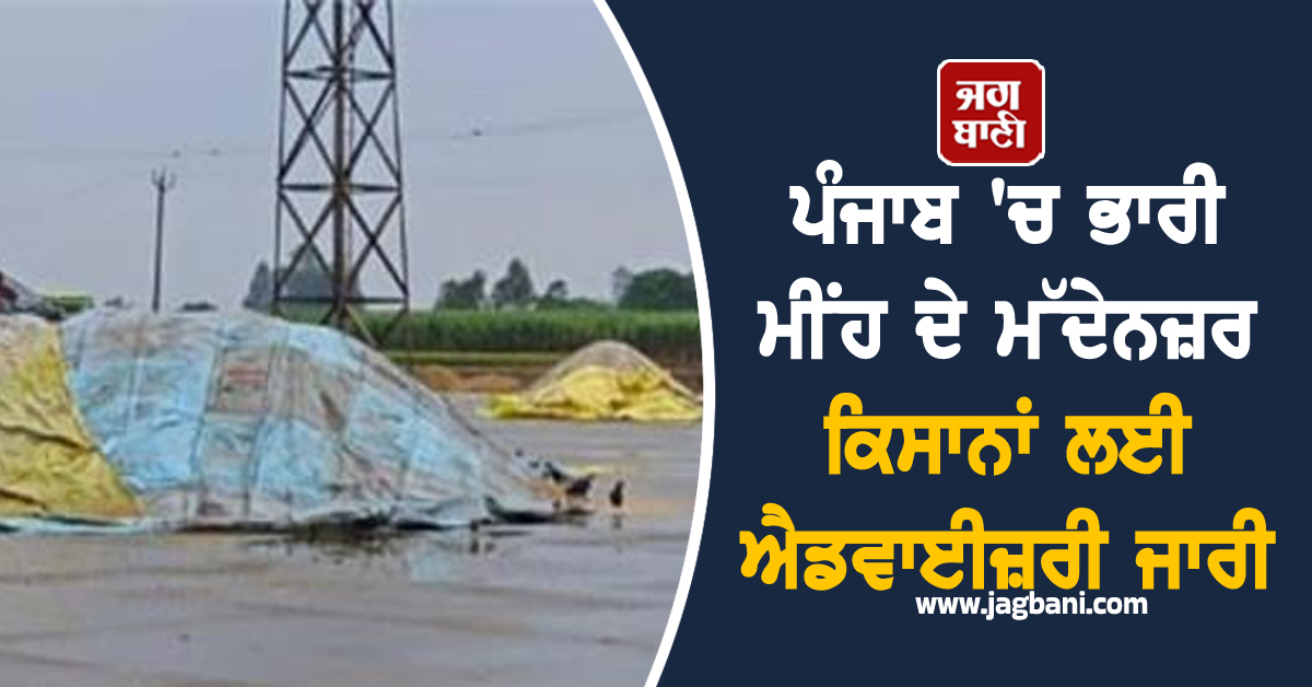 ਪੰਜਾਬ ''ਚ ਭਾਰੀ ਮੀਂਹ ਦੇ ਮੱਦੇਨਜ਼ਰ ਕਿਸਾਨਾਂ ਲਈ ਐਡਵਾਈਜ਼ਰੀ ਜਾਰੀ