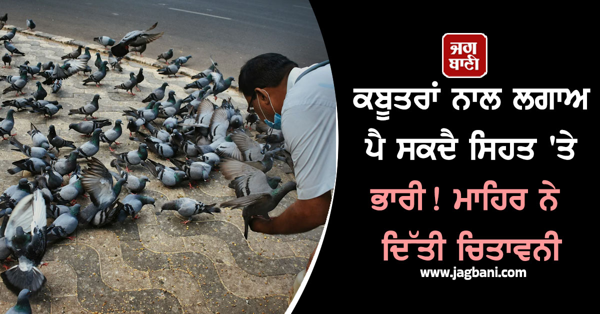 ਕਬੂਤਰਾਂ ਨਾਲ ਲਗਾਅ ਪੈ ਸਕਦੈ ਸਿਹਤ ''ਤੇ ਭਾਰੀ! ਮਾਹਿਰ ਨੇ ਦਿੱਤੀ ਚਿਤਾਵਨੀ