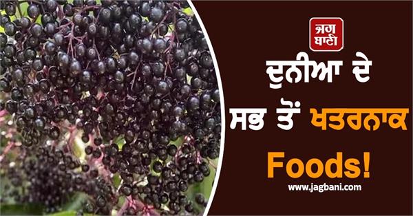 these are the most dangerous foods in the world