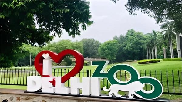 delhi zoo may reopen in november