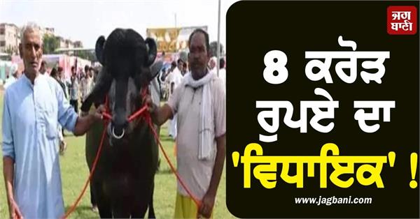mla worth rs 8 crore became the pride