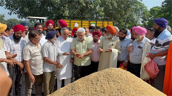 cabinet minister lal chand kataruchak reviewed the procurement of paddy