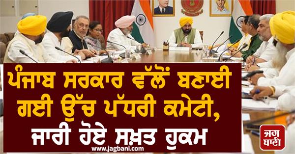 punjab government high level committee employees
