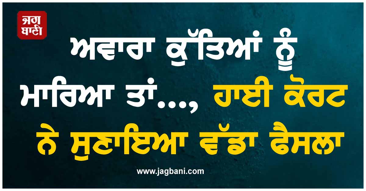 ਅਵਾਰਾ ਕੁੱਤਿਆਂ ਨੂੰ ਮਾਰਿਆ ਤਾਂ..., ਹਾਈ ਕੋਰਟ ਨੇ ਸੁਣਾਇਆ ਵੱਡਾ ਫੈਸਲਾ