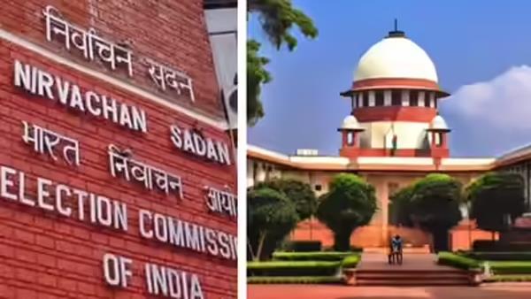 ec expected to correct errors in bihars final voter list